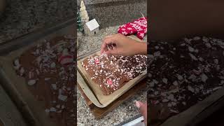 Peppermint Bark 🤍❤️🎄chocolatepeppermint peppermintmocha christmas christmasfood easyrecipe [upl. by Greiner]