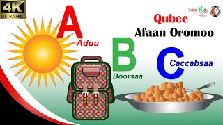 Qubee Afaan Oromoo Daaimman Buuura Barnootaatiif Learn Afaan Oromoo alphabet vocabulary [upl. by Atokad]