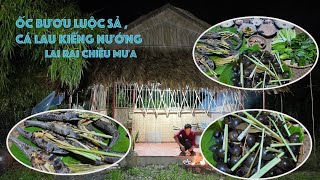 Ốc Bươu luộc sả  Cá lau kiếng Nướng quot Lai Rai quot chiều Mưa  Út Nấm Rơm [upl. by Amlez]