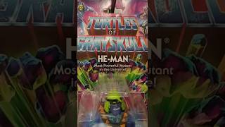 Turtles of grayskull hemanturtlesofgrayskull heman ninjaturtle toycollection [upl. by Novahc]