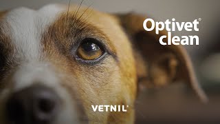 OptivetÂ® clean limpeza de sujidades ao redor dos olhos [upl. by Ahsimot]