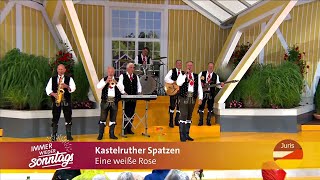 Kastelruther Spatzen  Eine weiße Rose Immer wieder sonntags 30062024 [upl. by Aynam]