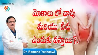 Knee pain amp swelling  Synovitis  Main causes in Telugu symptoms and treatment [upl. by Teiv]