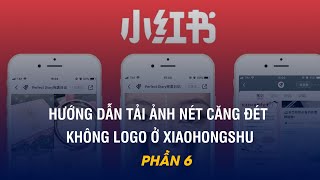 Hướng dẫn tải ảnh không logo ở Xiaohongshu Tiểu Hồng Thư siêu nét I Amdauda [upl. by Dove870]