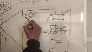 Mechanism of Salivary secretion  Salivary gland  GI PHYSIOLOGY  MBBS BDS NURSING [upl. by Romito]