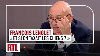 quotEt si on taxait les chiens quot [upl. by Znieh]