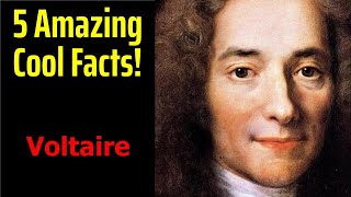 5 Fascinating Facts About Voltaire [upl. by Law]