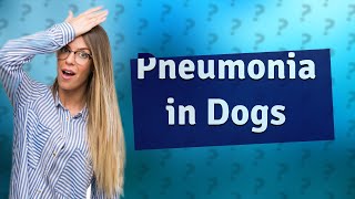 What does pneumonia sound like in dogs [upl. by Yelroc950]