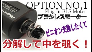 OPTION NO1 ブラシレスモーターのピニオンギア交換の前に知っておいた方がいい事。 [upl. by Clementia]