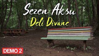 Sezen Aksu  Deli Divane Official Video [upl. by Nuahsyd]