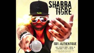 Shabba Tigre  Profitons Album 100  Authentique [upl. by Rab]