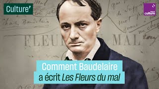 Comment Charles Baudelaire a écrit quotLes Fleurs du Malquot [upl. by Irihs]