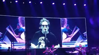 Andrés Calamaro  Para No Olvidar  en vivo [upl. by Anilesor635]