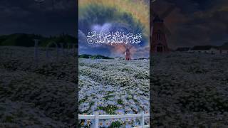 Quran Urdu Translation  Surah AlBaqarah Verse 247248 English Translation quran peace islam [upl. by Arraes]