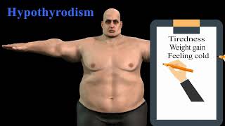 Thyroid Disorders Animation Tutorial [upl. by Adnirem]