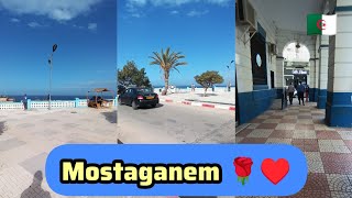 جولة في شوارع مدينة مستغانم 03 10 2024 Mostaganem Algérie [upl. by Brighton]