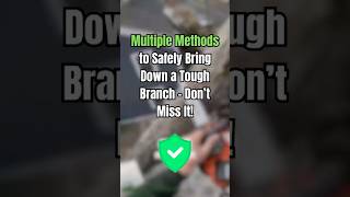 Multiple Methods for Bringing Down a Branch [upl. by Pohsib]