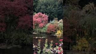 Monets Garden in Giverny gardendesign gardentour [upl. by Nickolai]