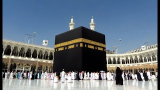 Labbayk Allahumma Labbayk  Hajj Thalbiyah  Repeated [upl. by Lladnew809]