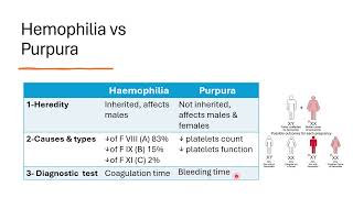 2 hemostasis disorders and erythrocytes [upl. by Narat]