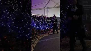 Christmas Show Intratuin  Lochem  Netherlands 🇳🇱 [upl. by Hamid854]