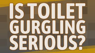 Is toilet gurgling serious [upl. by Mailliwnhoj380]