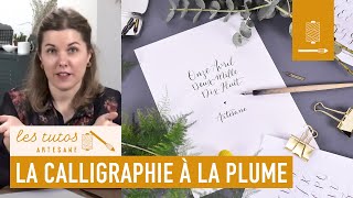 TUTO  Les bases de la calligraphie à la plume avec Noëlie Eternot sur Artesanecom [upl. by Romelda]