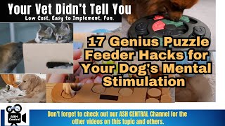 17 Genius Puzzle Feeder Hacks for Your Dogs Mental Stimulation Easy to implement low cost Fun [upl. by Pasol588]