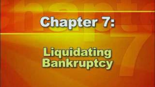 Bankruptcy Basics  Part 2 Types of Bankruptcy [upl. by Dixil]