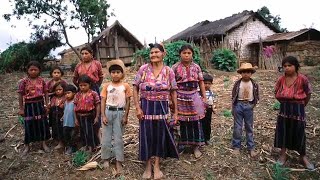 Protecting the rights and wellbeing of indigenous peoples [upl. by Petr]