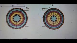 biology advance level 💯 unit 42 speed revision 363 episode biology [upl. by Renita259]