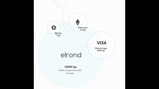 Elrond Network specific blockchain platform [upl. by Enyamert]