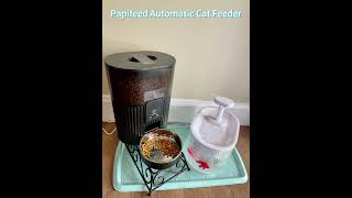 Papifeed Automatic Cat Feeder [upl. by Uzziel640]