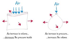 Inhaling and Exhaling  How breathing works [upl. by Korry]