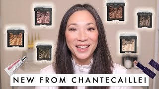 CHANTECAILLE  Fall 2019 Collection [upl. by Ajed]