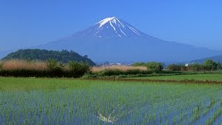 Furusato Japanese Folk Song Piano Solo Arrangement [upl. by Sinnej]