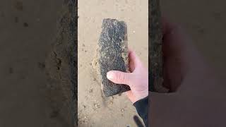 Huge Fossil Find Beachcombing UK beachcombing fossil [upl. by Refinney]