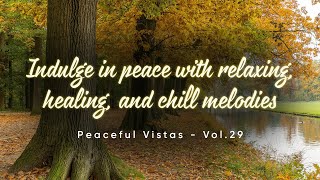 Aurora Borealis Expedition  Indulge in peace with relaxing healing and chill melodies  Vol29 [upl. by Letram884]