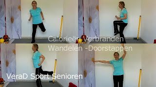 Cardio workout beginners en ouderen thuis 🏃‍♀️ LISS training oefeningen vetverbranding met Vera De [upl. by Yehs210]