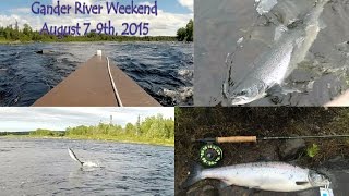 Gander River Weekend Atlantic Salmon Fishing Trip  August 79th 2015 [upl. by Stoecker]