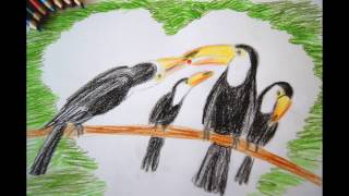 Tukanfamilie zeichnen zu Muttertag  how to draw a toucan bird family  Happy Mothers day drawing [upl. by Nylitak]