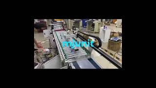 mjunit customized automation loading and unloading linear module precision synchronous belt guide [upl. by Siron]