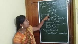 UGTRB ZOOLOGY UNIT 6 BIOCHEMISTRY PART 1 CLASSIFICATION OF CARBOHYDRATES BIOLOGY TAMIL BY SASIKALA [upl. by Radley]