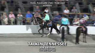 TALKIN TENNESSEE 2024 TENNESSEE WALKING HORSE NATIONAL CELEBRATION [upl. by Allard412]