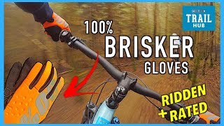 100 Brisker Gloves  Are these Winter MTB Gloves up to the Job [upl. by Anialam]