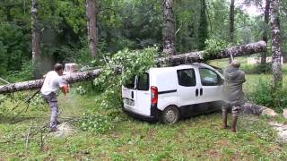 Tronçonnage arbre Bouzic voiture [upl. by Kinna674]