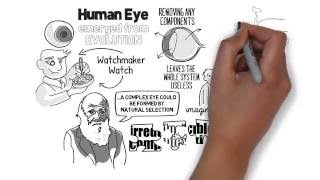 Irreducible Complexity  Evolution of the Eye Explained [upl. by Itsud]