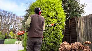 Conifer Tidying amp Sorting out a Phormium in a Border [upl. by Aleafar842]