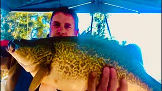 Murray Cod fishing on the Goulburn River with good blokes [upl. by Akema947]