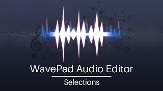 How to Select Sections of Audio  WavePad Audio Editing Tutorial [upl. by Karrie]